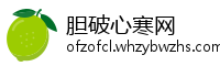 胆破心寒网
